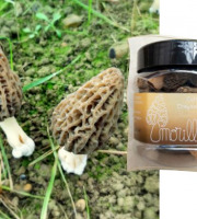 L'Agricueilleur du Suzon - Morilles françaises Bio
