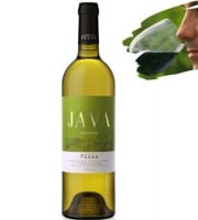 Réserve Privée - IGP Cotes de Gascogne - Domaine Chiroulet - Java Blanc X6