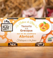 La Ferme de Blas'Lait - Yaourts à la grecque sur lit de confiture Abricot x4