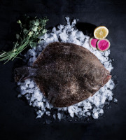 Luximer - Turbot Sauvage - Pièce De 1.2kg