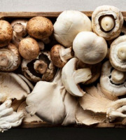 La Carrière du Bienheureux - Coffret champignons Pleurote, Shiitaké et Paris - 3x1kg