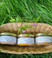 Ferme du Groin à L’Airbe - lot de 3 terrines/rillettes de volailles