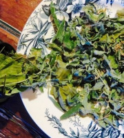 La Cabane à plantes - Infusion Au pays des merveilles