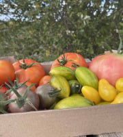 Ferme Sinsac - panier de tomates anciennes de 2,5 kg