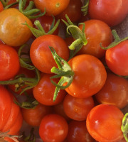 Des Poules et des Vignes à Bourgueil - Tomates cerises rouge