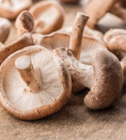 Les champignons de Vernusse - Shiitakes frais - 500g