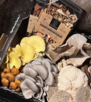 Naturélium - Panier Gourmand de Fin d’Année – Champignons d’Exception