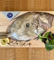 La Criée d'à Côté - Saint Pierre | 1kg (1 à 2 pièces)