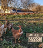 Ferme Cadillon - Poulet fermier | Femelle - 100 jours - Label rouge - 1,650 kg - Lot de 5