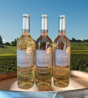 Château Haut-Lamouthe - Côtes De Bergerac Blanc Moelleux - 3x75 Cl