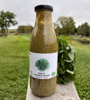 Cressonnière de Montmirault - Soupe au cresson de fontaine 6x75cl