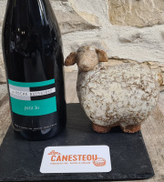 Lou Canesteou - Petit Jo Rouge Bio Domaine La Rochebuissière