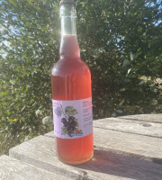 Ferme Sinsac - Pétillant de Cassis sans alcool