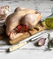 Les poulets de la Marquise - Gros poulet fermier BIO 2,2 kg à 2,6 kg