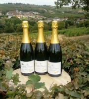 Domaine Doudeau-Leger - Bulles d'Ange - Méthode Traditionnelle Blanc Brut - 3 Bouteilles