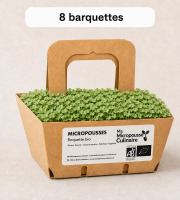Ma Micropousse culinaire - Micro-pousses bio de roquette - 8 barquettes