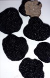 Ferme de Pourcier - Truffe Fraîche - Truffe d'été 500g