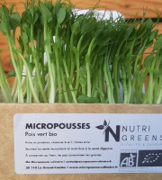 Ma Micropousse culinaire - Pois vert Bio 16x50g