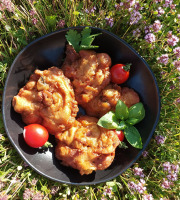 Christian Boudes - 15 beignets de ratatouille