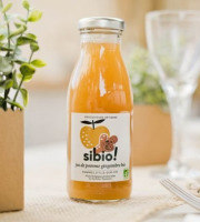 Sibio - Jus de Pomme Gingembre bio 75cl