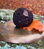 Berry 3 Sens - Truffe noire fraîche du Berry Tuber Melanosporum : 100 g