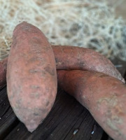 Les Jardins de Gérard - Patate douce Bio - 500 g