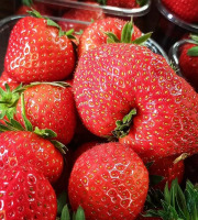 Ferme Joos - Fraises pleine terre 3 x 500g