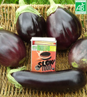 LES JARDINS DE KARINE - Aubergines violettes - 1kg