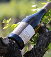 Domaine Daridan - Vin AOC Touraine Blanc 75cl