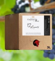 Domaine de la Chopinière du Roy - BIB de Vin Rouge Saint Nicolas de Bourgueil 2024 - 3 Litres