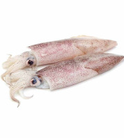 Poissonnerie La Piriacaise - Encornets non nettoyés x3