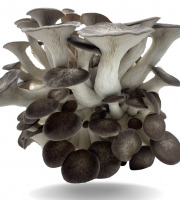 Naturélium - Le black pearl 1,5kg