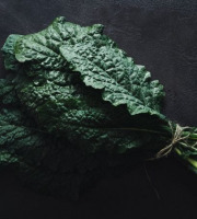 ChâteauFer - Chou Kale - Noir 1kg