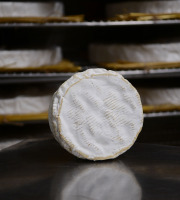Alléosse Maitre Artisan Affineur Fromager - Camembert de Normandie Jort AOP au lait cru moulé à la louche