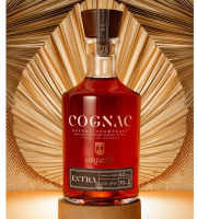 Mte Spiritueux - COGNAC EXTRA GRANDE CHAMPAGNE 1ER CRU 42% VOL AVEC ETUI