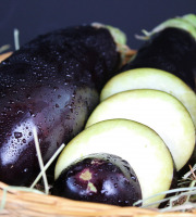 Le Châtaignier - Aubergine 1kg