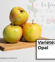 La Ferme des Prun'Elles - Pomme Opal