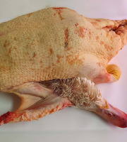 Ferme de la Paumerais - CANETTE 2,5 Kg - (x1)