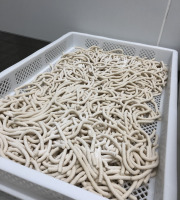 Lioravi, l'authentique pâte fraîche ! - [Précommande] Colis de Pâtes Bio Udon 4x250g
