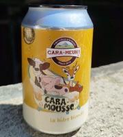 La Ferme des Cara-Meuh - Carton 24 bières blondes Cara-Mousse BIO 33 cl
