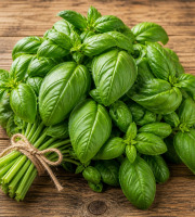Nature et Saveurs - Ferme Aquaponique et Permacole Astérienne - Basilic Genovese – intensité aromatique et fraîcheur maîtrisée