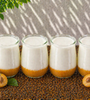 Ferme de l'Elanion - Yaourt Confiture Mirabelle x4