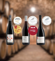 Domaine de la Chopinière du Roy - Coffret cadeau vins primés Or/Argent - bouteilles de vins rouges Saint Nicolas de Bourgueil - 3 x 75 cl
