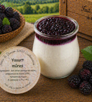 Ferme de l'Elanion - Yaourt Mûres 125g