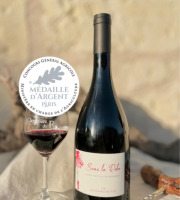 Domaine de la Chopinière du Roy - Vin rouge Saint Nicolas de Bourgueil - Cuvée Sous la Robe 2023 - 6x75cl