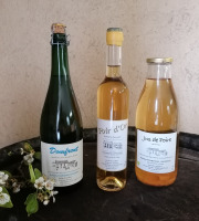 Domaine Fourmond Lemorton - 100% Poire : Poiré Domfront, Jus de Poire et Apéritif  x3