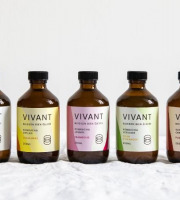 Vivant Kombucha - Coffret Découverte Kombucha Bio x12