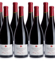 Domaine Tupinier Philippe - Côte d'Auxerre Rouge Cuvée spéciale 6x75cl