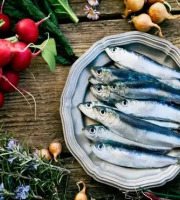 Brest Marée - Sardines - 500g