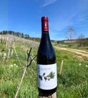 Domaine Céline Coté - Bourgogne Julia 2023